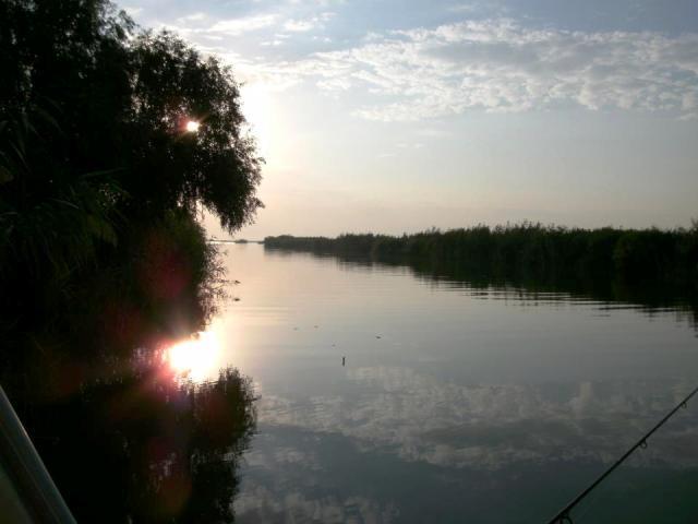 delta rosu 2012 - 393574.jpg